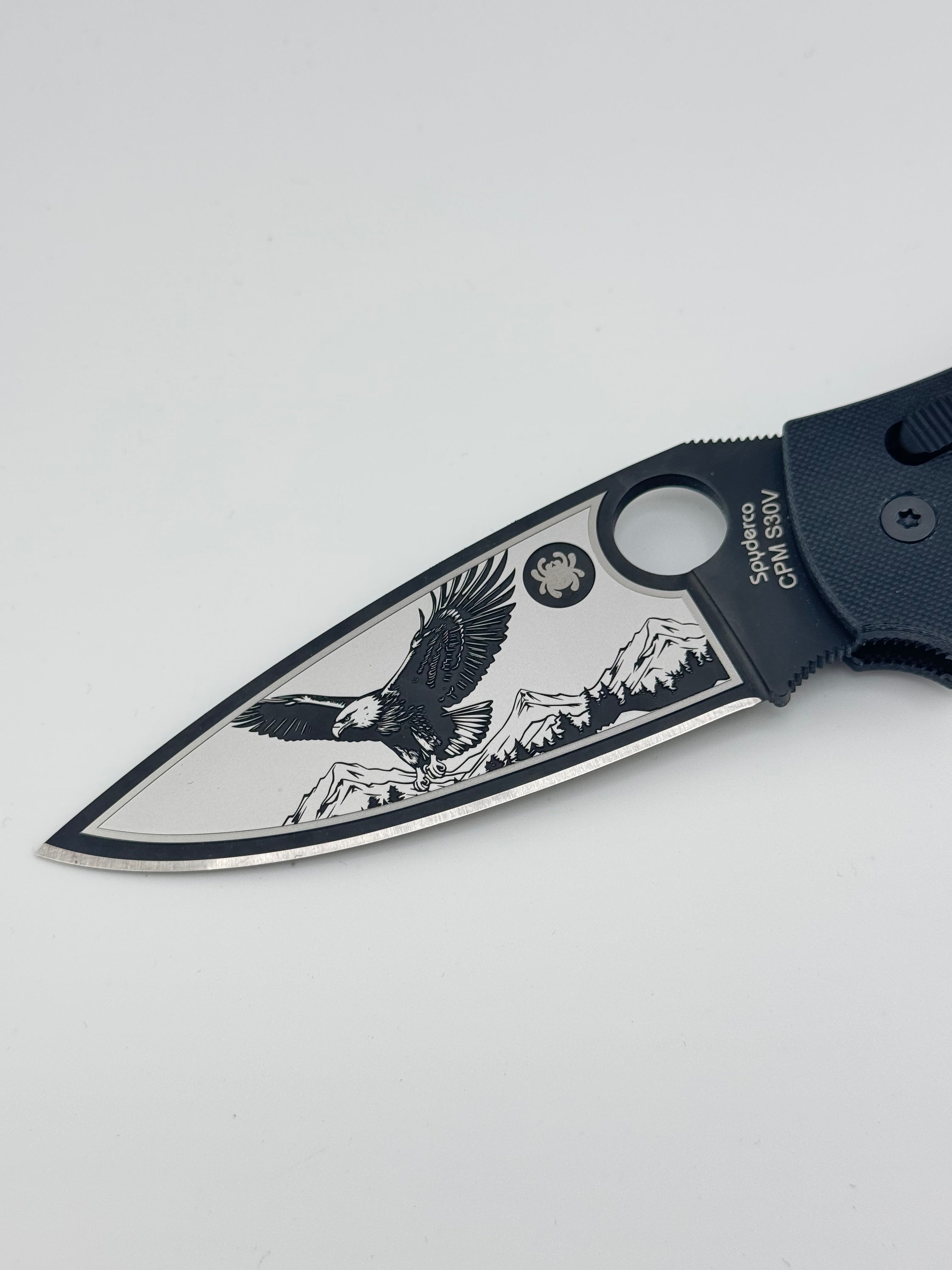MANIX 2 XL (Bald Eagle over Mountains)