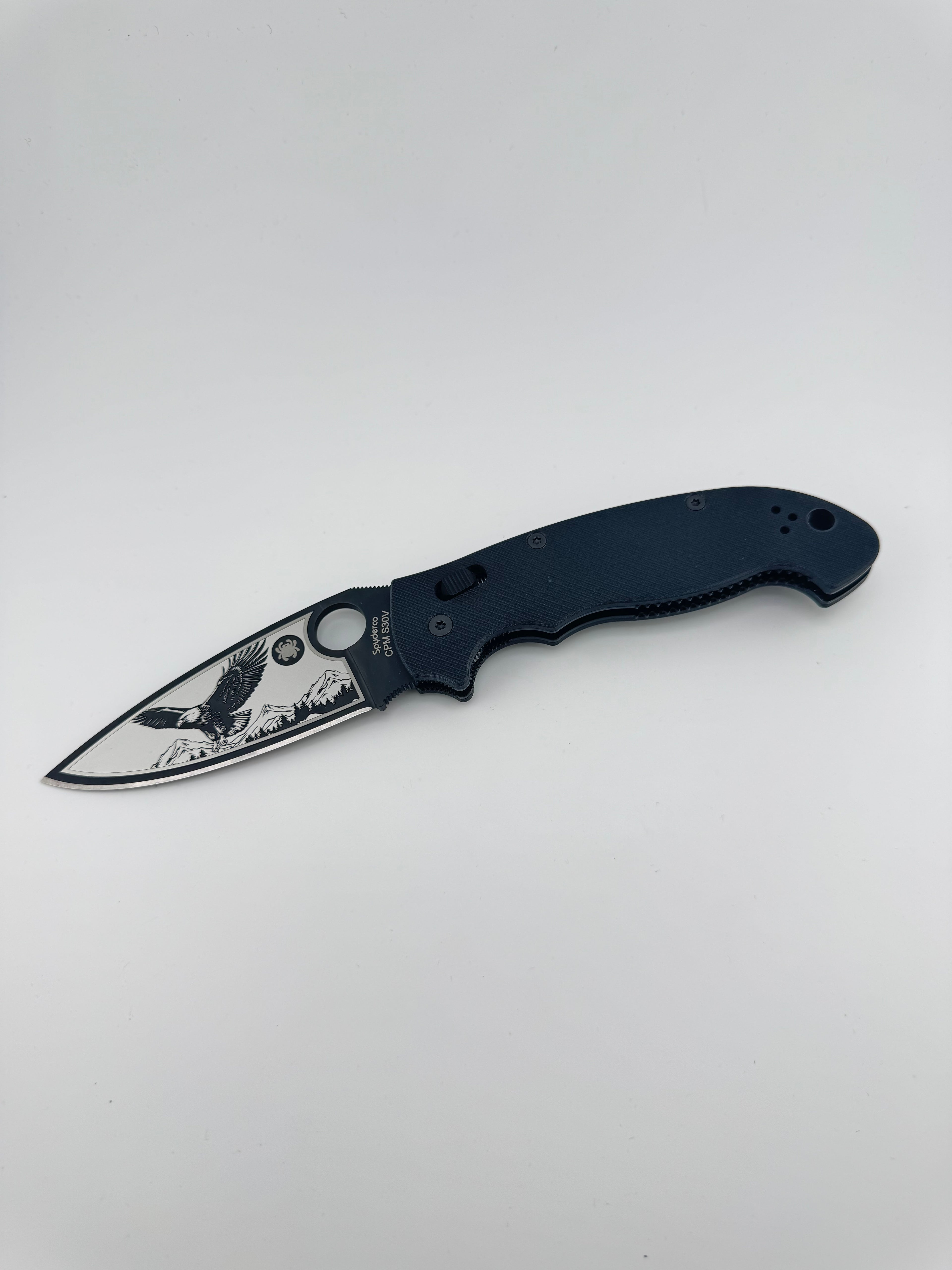 MANIX 2 XL (Bald Eagle over Mountains)